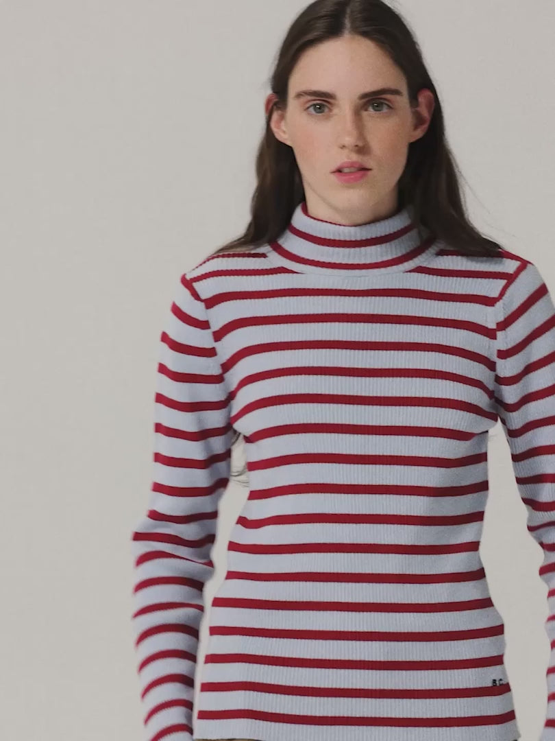 Striped turtleneck wool cotton jumper multi