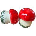 Salt pepper mushroom