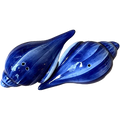 Salt pepper blue shell